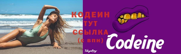 скорость Новозыбков