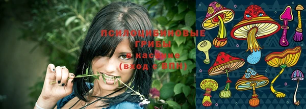 мяу мяу мука Белокуриха