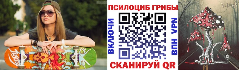 купить наркотик Струнино Галлюциногенные грибы MAGIC MUSHROOMS
